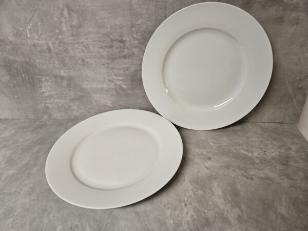 Teller Groß (27cm)(20er Kiste)